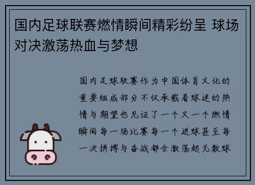 国内足球联赛燃情瞬间精彩纷呈 球场对决激荡热血与梦想